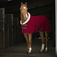 Produktbild von Equithème Teddy Polarfleece Abschwitzdecke für Pferde grün/braun