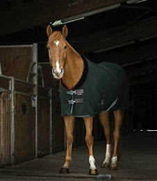 Produktbild von Equithème Teddy Polarfleece Decke für Pferde Grün/Braun 155 cm