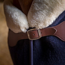 Produktbild von Equithème Teddy Wolldecke für Pferde in Marineblau