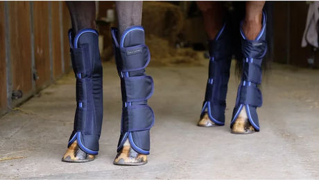 Equithème Transportgamaschen Pro Series TYREX 1680D für Warmblut in Blau – Bild 1 von 3