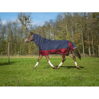 Produktbild von Equithème Tyrex 1200 D Combo Outdoor-Decke für Pferde Blau 200g