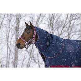 Equithème Tyrex 1200 D Halsteil für Pferde aus Polyester in Navy Blau Rot Weiß – Bild 1 von 4