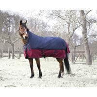 Produktbild von Equithème Tyrex 1200 D High Neck Decke für Pferde ohne Polyfill 153/115 cm