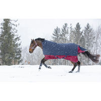 Produktbild von Equithème Tyrex 1200 D Pferdedecke High Neck aus Polyester ohne Polyfill 175 x 125 cm