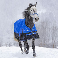 Produktbild von Equithème Tyrex 1200D Aisance High Neck Pferdedecke aus Polyester Blau für Ponys