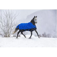 Produktbild von Equithème Tyrex 1200D Aisance Outdoor-Decke für Pferde Blau