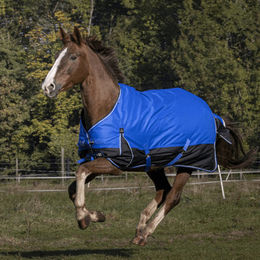 Produktbild von Equithème Tyrex 1200D Aisance Pferdedecke Blau 6'0