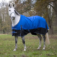 Produktbild von Equithème Tyrex 1200D Aisance Pferdedecke Blau Schwarz 155cm