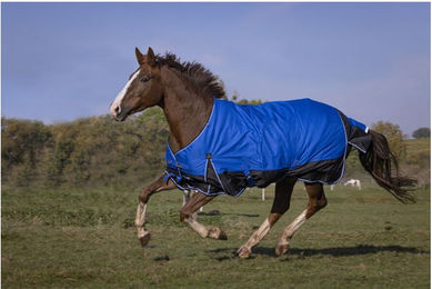 Equithème Tyrex 1200D Aisance Stalldecke und Regendecke für Pferde Blau/Schwarz – Bild 1 von 6