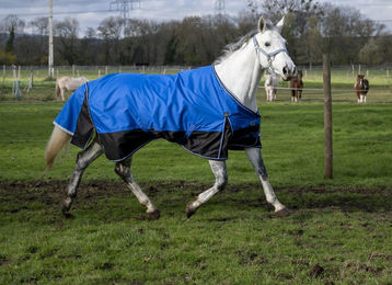 Equithème Tyrex 1200D Aisance Weidedecke für Pferde Blau Schwarz 145 cm mit 50g Polyfil – Bild 1 von 1