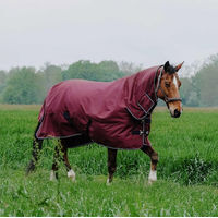 Produktbild von Equithème Tyrex 1200D Combo Weidedecke für Pferde mit Halsabdeckung 350g Größe 6'3