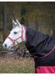 Equithème Tyrex 1200D Halstuch für Ponys Schwarz Rot – Bild 1 von 2