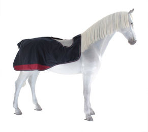 Equithème Tyrex 1200D Nierendecke aus Polyester gefüttert Marineblau/Bordeauxrot 125 cm – Bild 1 von 2