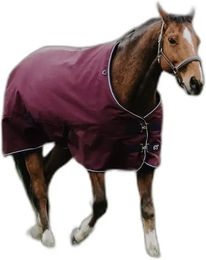 Produktbild von Equithème Tyrex 1200D Outdoor-Decke für Pferde mit 150g Füllung