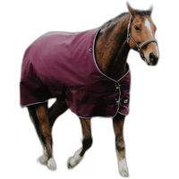 Produktbild von Equithème Tyrex 1200D Outdoor-Decke für Pferde mit 150g Füllung