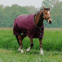 Produktbild von Equithème Tyrex 1200D Outdoor Pferdedecke aus Polyester in Rot Größe 6'3