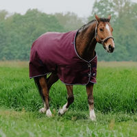 Produktbild von Equithème Tyrex 1200D Outdoor-Pferdedecke in Rot