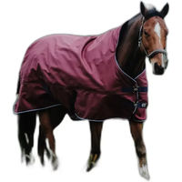 Produktbild von Equithème Tyrex 1200D Outdoor-Pferdedecke mit High Neck in Rot
