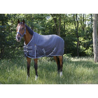 Produktbild von Equithème Tyrex 1200D Pferdedecke aus Polyester grau/blau