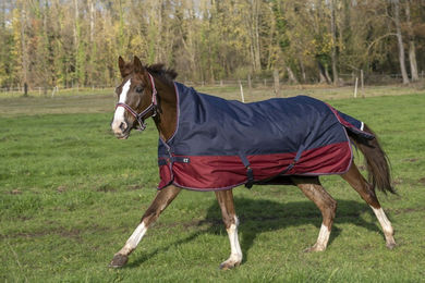 Equithème Tyrex 1200D Ripstop Pferdedecke Outdoor mit Highneck 155 cm – Bild 1 von 1