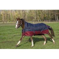 Produktbild von Equithème Tyrex 1200D Ripstop Pferdedecke Outdoor mit Highneck 155 cm