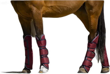 Produktbild von Equithème Tyrex 1200D Transportgamaschen für Pferde aus Polyester in Rot für Vollblut