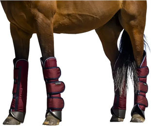 Produktbild von Equithème Tyrex 1200D Transportgamaschen für Pferde Pony Rot aus Polyester