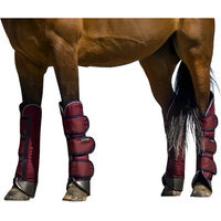Produktbild von Equithème Tyrex 1200D Transportgamaschen für Pferde Rot aus Polyester