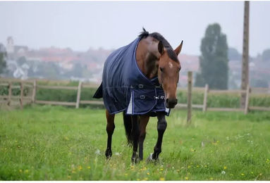 Produktbild von Equithème Tyrex 1680D Outdoor-Decke aus Polyester in Blau