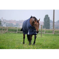 Produktbild von Equithème Tyrex 1680D Outdoor-Decke aus Polyester in Blau