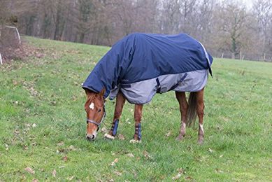 Equithème Tyrex 600 D Combo Turnout Pferdedecke Navy/Grau 145 cm – Bild 1 von 2