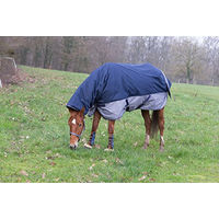 Produktbild von Equithème Tyrex 600 D Combo Turnout Pferdedecke Navy/Grau 145 cm