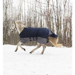 Equithème Tyrex 600 D Turnout Pferdedecke mit Bauchgürtel Navy/Grau 183 cm – Bild 1 von 2
