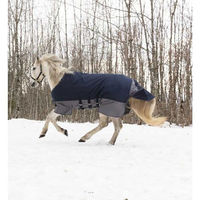 Produktbild von Equithème Tyrex 600 D Turnout Pferdedecke mit Bauchgürtel Navy/Grau 183 cm