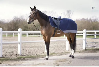 Produktbild von Equithème Tyrex 600 D Wasserdichte Nierendecke für Pferde Navy/Grau 140 cm