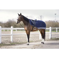 Produktbild von Equithème Tyrex 600 D Wasserdichte Nierendecke für Pferde Navy/Grau 140 cm
