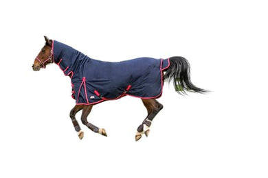 Equithème Tyrex 600 D Weidedecke für Pferde mit Bauchgürtel Navy/Grau 175 cm – Bild 1 von 2