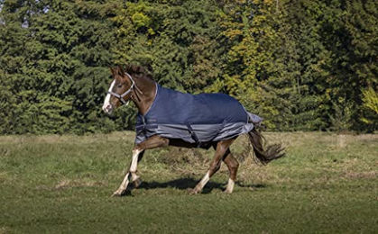 Equithème Tyrex 600 D Weidedecke für Pferde mit Polarfleece-Fütterung Marineblau/Grau 137 cm – Bild 1 von 2