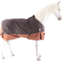 Produktbild von Equithème Tyrex 600D Aisance Stalldecke für Pferde Grau/Braun 150cm