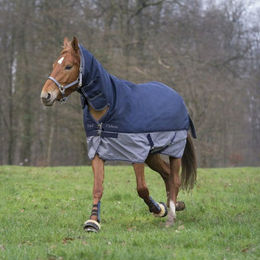 Equithème Tyrex 600D Combo Pferdedecke 200g Navy/Grau aus Polyester – Bild 1 von 7