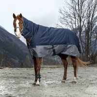 Produktbild von Equithème Tyrex 600D Combo Pferdedecke Outdoor Navy/Grau 215 cm