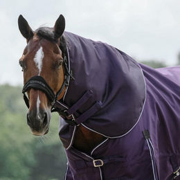 Equithème Tyrex 600D Halsteil für Pferde aus Polyester in Lila – Bild 1 von 2
