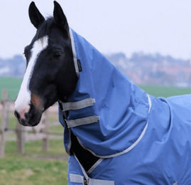 Equithème Tyrex 600D Halsteil für Vollblut Pferde aus recyceltem Polyester Blau 150g – Bild 1 von 1