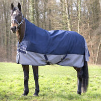 Produktbild von Equithème Tyrex 600D High Neck Pferdedecke aus Polyester marineblau/grau