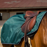 Produktbild von Equithème Tyrex 600D Nierendecke für Pferde aus Fleece in Grün 155 cm