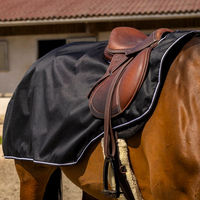 Produktbild von Equithème Tyrex 600D Nierendecke für Pferde aus Fleece in Schwarz
