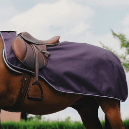 Equithème Tyrex 600D Nierendecke für Pferde aus Fleece in Schwarz oder Lila – Bild 1 von 2