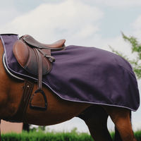Produktbild von Equithème Tyrex 600D Nierendecke für Pferde aus Fleece in Schwarz und Lila