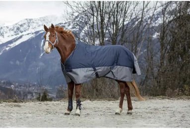 Produktbild von Equithème Tyrex 600D Outdoor-Decke für Pferde in Blau