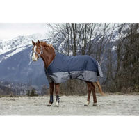 Produktbild von Equithème Tyrex 600D Outdoor-Decke für Pferde in Blau